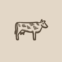 Cow sketch icon.