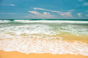 Nature of Asia: Sri Lanka. Sunny ocean beach.