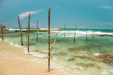 Nature of Asia: Sri Lanka. Sunny ocean beach.