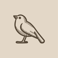 Bird sketch icon.