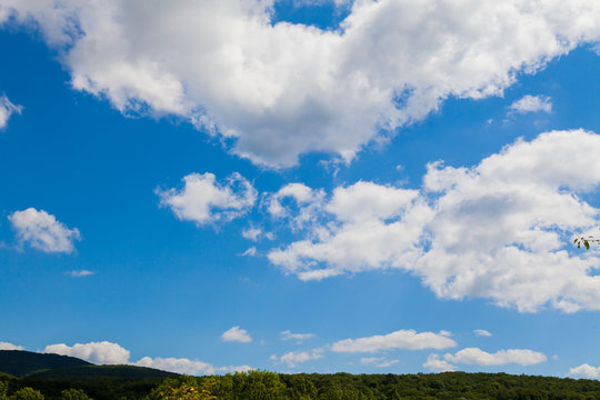 forest green blue sky and clouds
