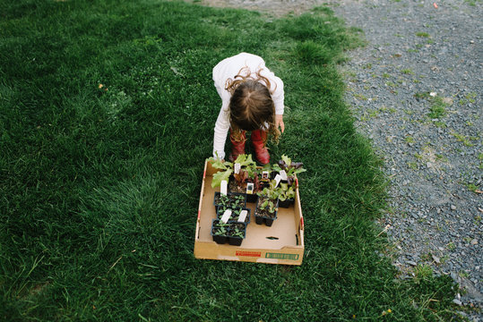 Girl tending homegrown plants
