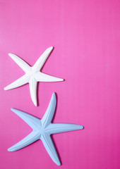 Wooden starfish on a pink background creating a beach themed page border