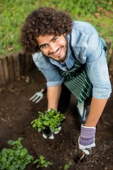 Naklejka na ściany i meble Smiling male gardener planting outside greenhouse