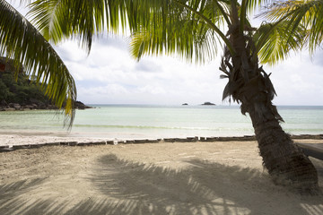 Tropical landscape view, Seychelles