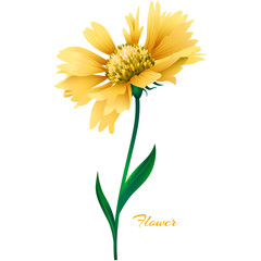 Realistic yellow vector flower.
