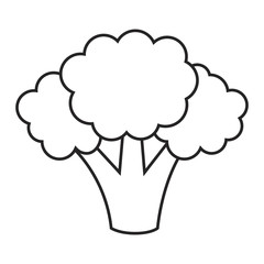 Line icon broccoli on white background. Vector illustration.
