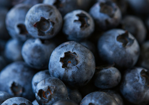 Natural fresh blueberries close up .