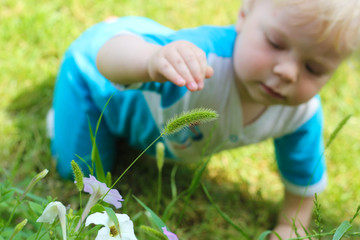 Baby crawling and exploring flowers