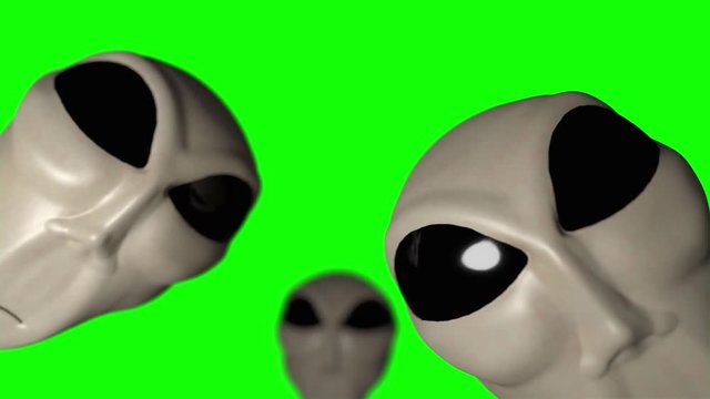 Alien grey head faces creepy extraterrestrial gray abduction creature with glare
