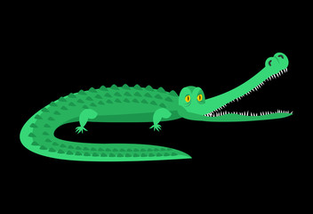Crocodile isolated. Good caiman. Wild animal. Green reptile with