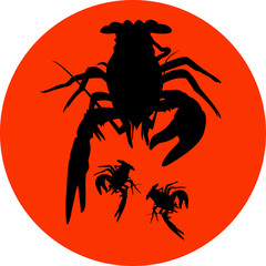 crawfish label crawfish silhouette, crayfish icon, lobster sign, crawfish symbol Vector illustration .