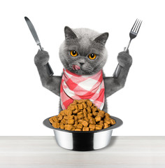 cat going to eat and hold knife and fork