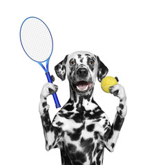 Dog is going to play tennis
