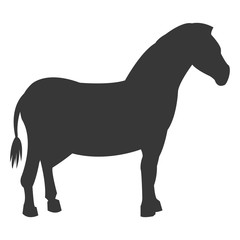 zebra silhouette icon