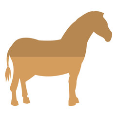 zebra silhouette icon
