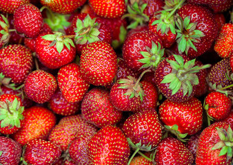 Strawberry - full frame