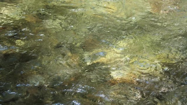 A fast-flowing clear stream over flat pale brown stones