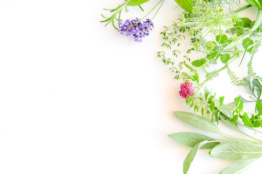 Medicinal Herbs On White Background