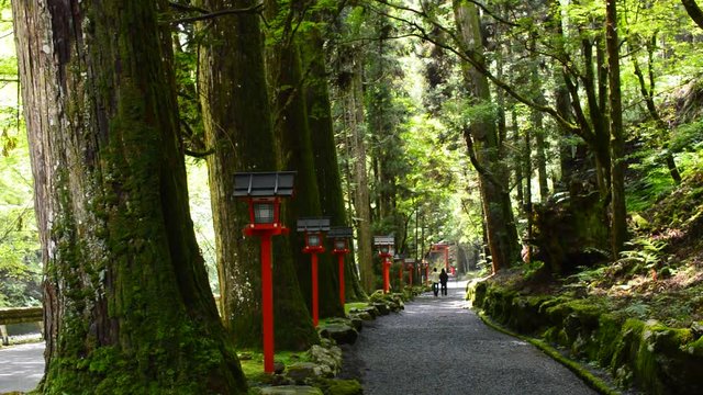 貴船神社奥宮の参道