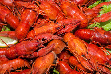 Boiled crawfish with beer