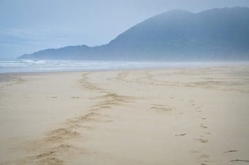 Horse Tracks on the Beach