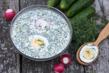 Russian spring-summer cold soup with vegetables with kefir. Okroshka