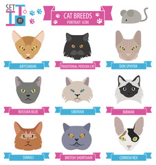 Cat breeds icon set flat style