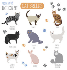 Fototapeta na wymiar Cat breeds icon set flat style