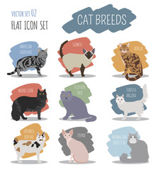 Cat breeds icon set flat style