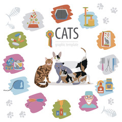 Cat characters and vet care icon set flat style