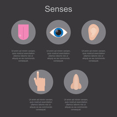 Five human senses on a dark background with space for your text. Vector illustration.