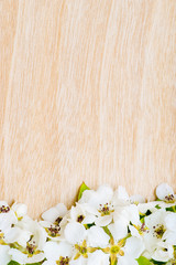 Obraz premium Frame of white flowers on a wooden background