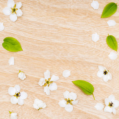 Frame of white flowers on a wooden background