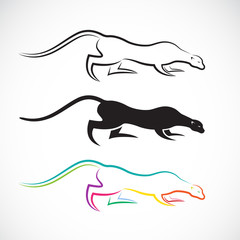 Vector image of an cheetah design on white background. Vector ch