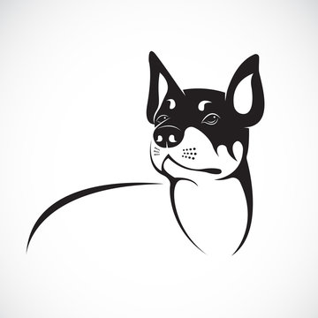 Vector image of an chihuahua dog on white background. Vector dog