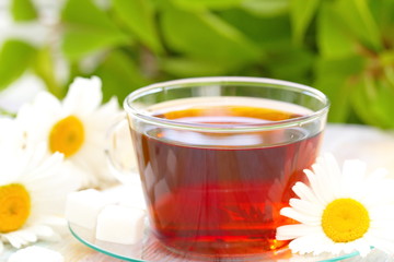 Cup of tea and daisy