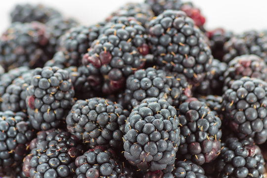 Fresh ripe blackberries close up