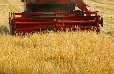 Working combine harvester in crop field