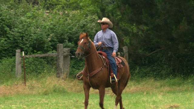 Cowboy on a sorrel horse trotting toward camera, turning side-on facing left