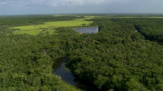 Flying over river and green rural Florida landscape