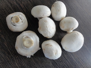 Champignons