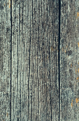 Fototapeta premium Old texture of wood background closeup