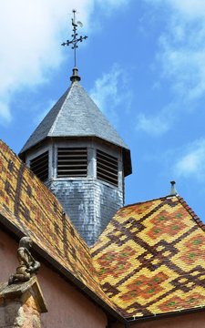 Clocher et toits, gargouille du prieur&eacute; d'Ambierle