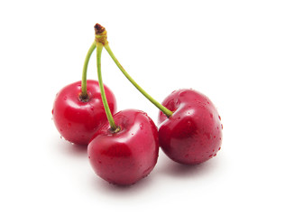 Sweet ripe cherry