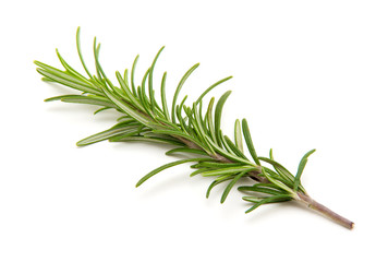 Fototapeta premium Twig of rosemary on a white background