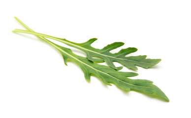 Fototapeta premium Green arugula leaf isolated on white
