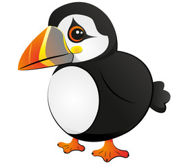 Papageitaucher - Puffin