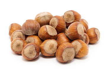 Hazelnuts on white background