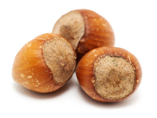 Hazelnuts on white background